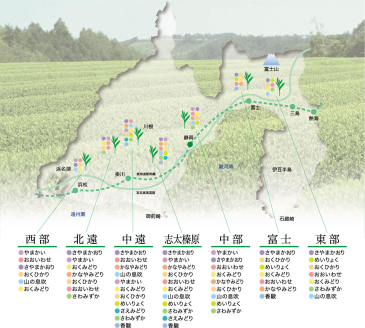 地図：地域別品種分布図